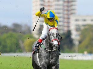 Es por Amor found her true calling in the sprint ranks and shocked the Suipacha