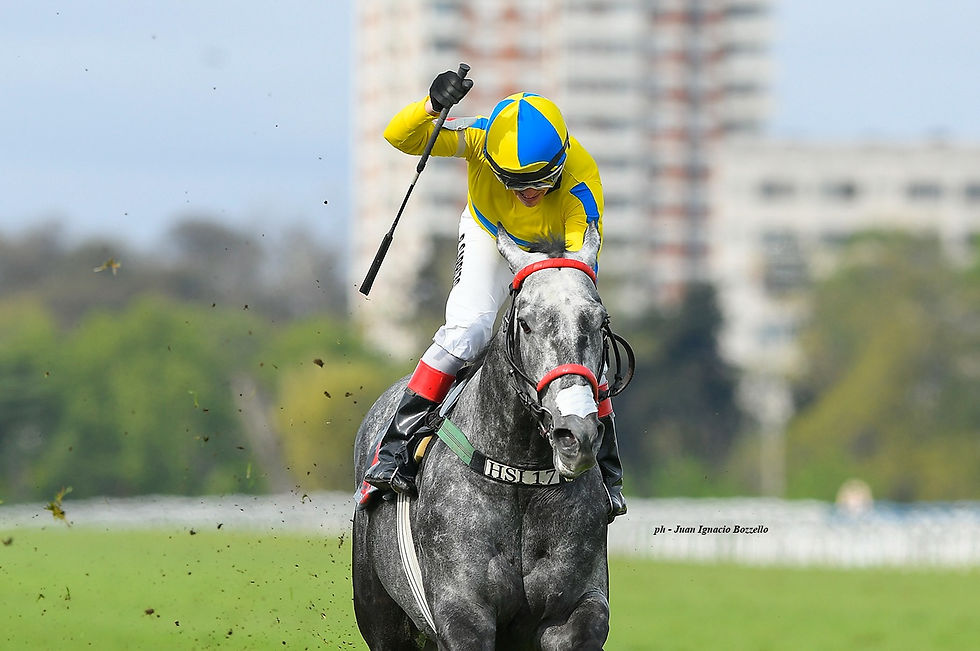 Es por Amor found her true calling in the sprint ranks and shocked the Suipacha