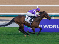Coolmore Banks on Title Role for a Triumphant Belmont Derby Return