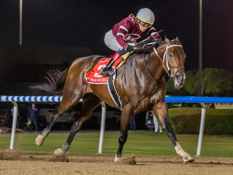 Coolmore se aseguró Magnitude y el campeón servirá en Ashford Stud