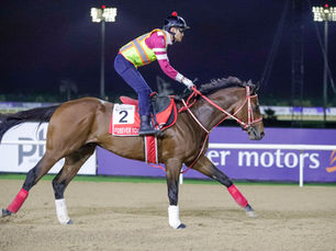 Forever Young, Ombudsman, and Rebel's Romance are stars in the making for the DWC