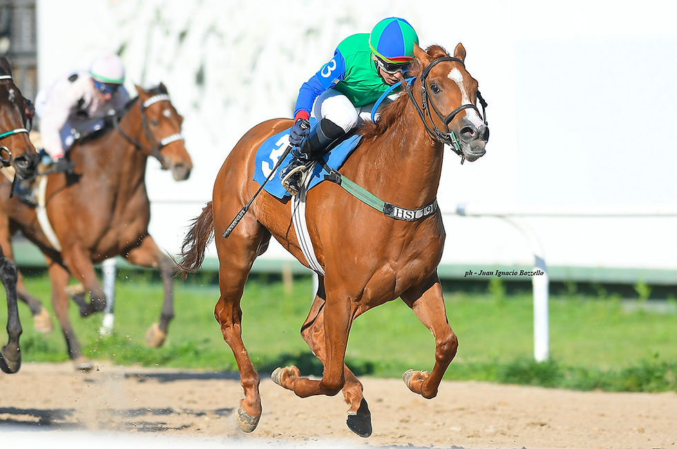 Internal Affairs and Litigada capitalized on their opportunities among the 3-year-olds
