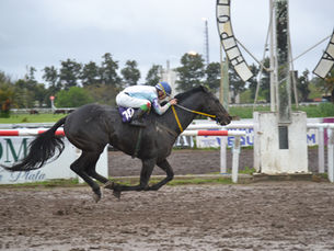 Marquise Zenda encontró la fórmula y ahora no para de ganar en La Plata