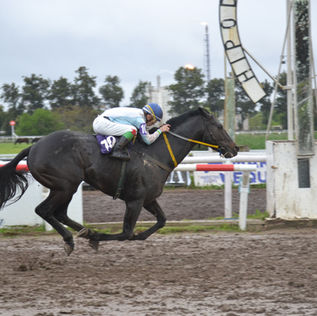 Marquise Zenda encontró la fórmula y ahora no para de ganar en La Plata