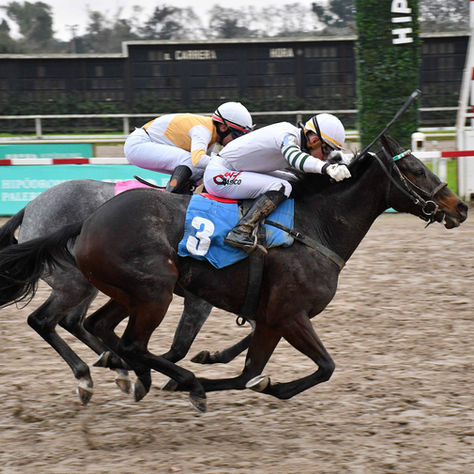 Argomasa Completed a Unique Double in the Clásico Sierra Balcarce