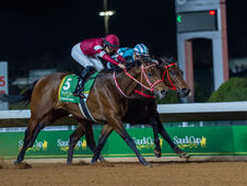 El Challenge Series de Breeders' Cup y un récord de 49 competencias internacionales