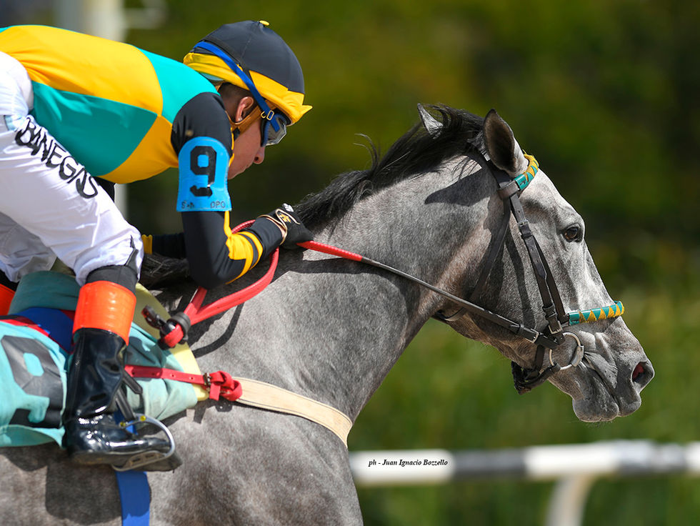 Kevin Banegas multiplicó por 4 y se acerca a la cima de la estadística general