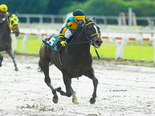 Soñador Spring and Rollanda Win in a Way That Suggests a Return to Stakes Company