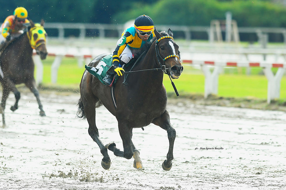Rollanda dominó temprano y le puso candado a su triunfo / JUAN I. BOZZELLO