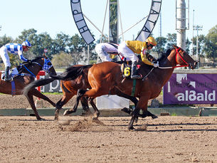 Después de la Navidad, Educator lleva las de ganar en el Especial Haras El Paraíso