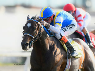 Quebracho Joy, the New Rising Star for Team El Exito