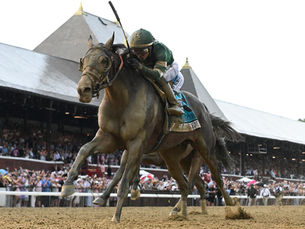 Golden Tempo ratificó su categoría y alcanzó una sólida victoria en el Belmont Stakes