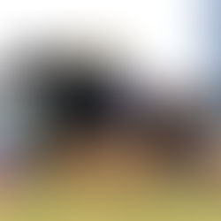 Los japoneses Masquerade Ball y Jantar Mantar no viajarán a Dubai