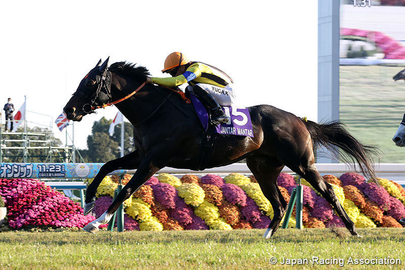 Jantar Mantar, dueño absoluto de la milla japonesa
