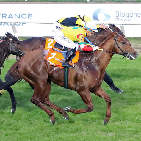 Le Cornette defended his title in the Gran Premio Estrellas Sprint