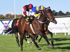 The Junior Sprint Will Adorn Friday’s Card, with 12 Hopes