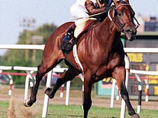 El peso histórico de las 2000 Guineas y lo difícil del doblete en la Polla