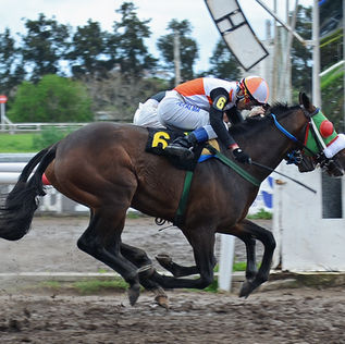 Vertiginoso sorprendió y Carrousell dejó una primera impresión formidable
