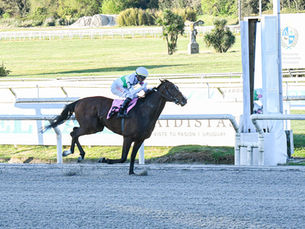 Abrileño Fever sacudió el Jockey Club y dejó a Maroñas sin triplecoronado