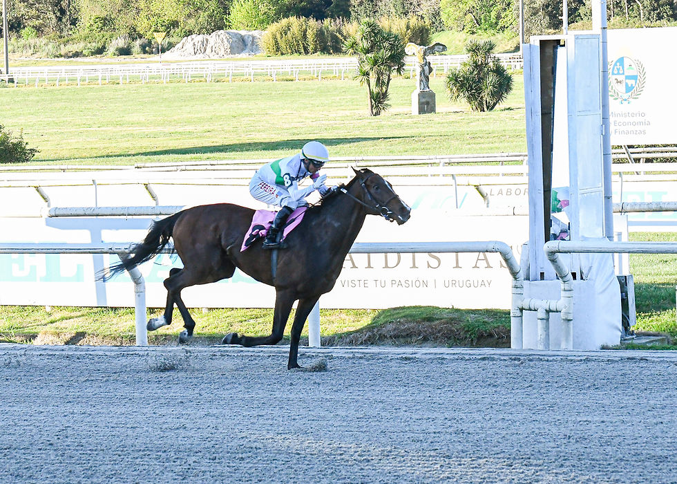 Abrileño Fever sacudió el Jockey Club y dejó a Maroñas sin triplecoronado
