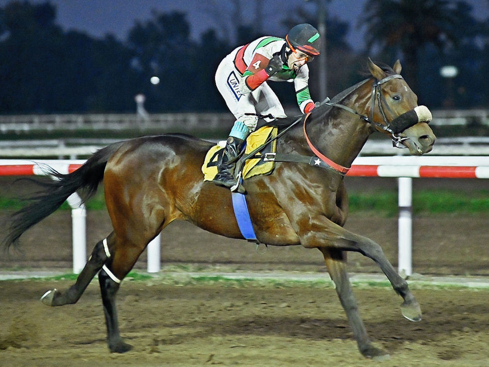 Y un día Seek Wave se acordó que era un buen caballo
