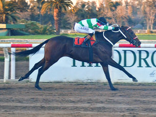 Amuni Rose to the Occasion and Achieved an Interesting Success in the Clásico Antonio Cané