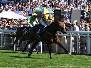 American Affair Flew Once Again and Shayem Confirmed His Rise at Goodwood