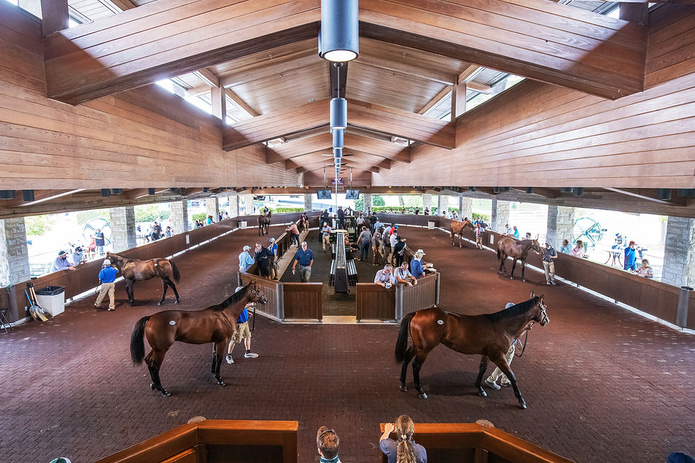 Keeneland se prepara para otra Venta de Septiembre que promete / KEENELAND