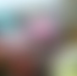 El camino clásico para los 2 años empieza en el Congreve, parte de un gran programa