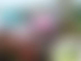 The Juvenile Stakes Road Begins in the Congreve, Part of a Stellar card