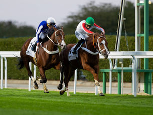 Intense for Me tampoco pudo levantar cabeza en el césped