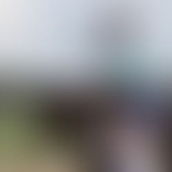 Jorge Ruiz Díaz va por el The Very One con No Show Sammy Jo, ante Doña Clota y For Flying