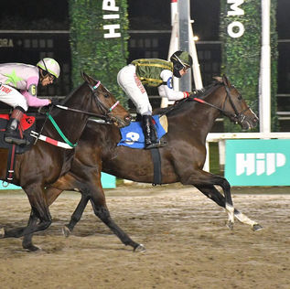 Lancara reprisó y mostró su mejor cara venciendo a Blessed Shine