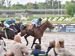 Gran Compañero tiene una linda ocasión para reencontarse con la victoria
