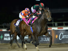 Gold, Turf, and a Ticket to the Latino: Six Confirmed for the General San Martín