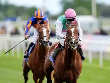 Item pulled off the upset in the Dante Stakes and now sets his sights on Epsom