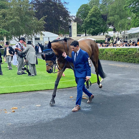 Trawlerman Emerged Unscathed from the Battle and Now Targets Goodwood