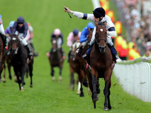 Murió Motivator, héroe del Derby de Epsom y padre de la inolvidable Trêve