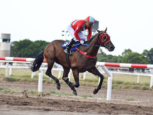 Hit Colchonero le descontó 12 cuerpos a El Darwin y se quedó con el Clásico Uruguay