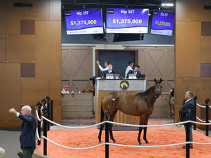 Fasig-Tipton desafió el cambio y salió fortalecido: cifras récord en la primera gran venta “sin relojes”
