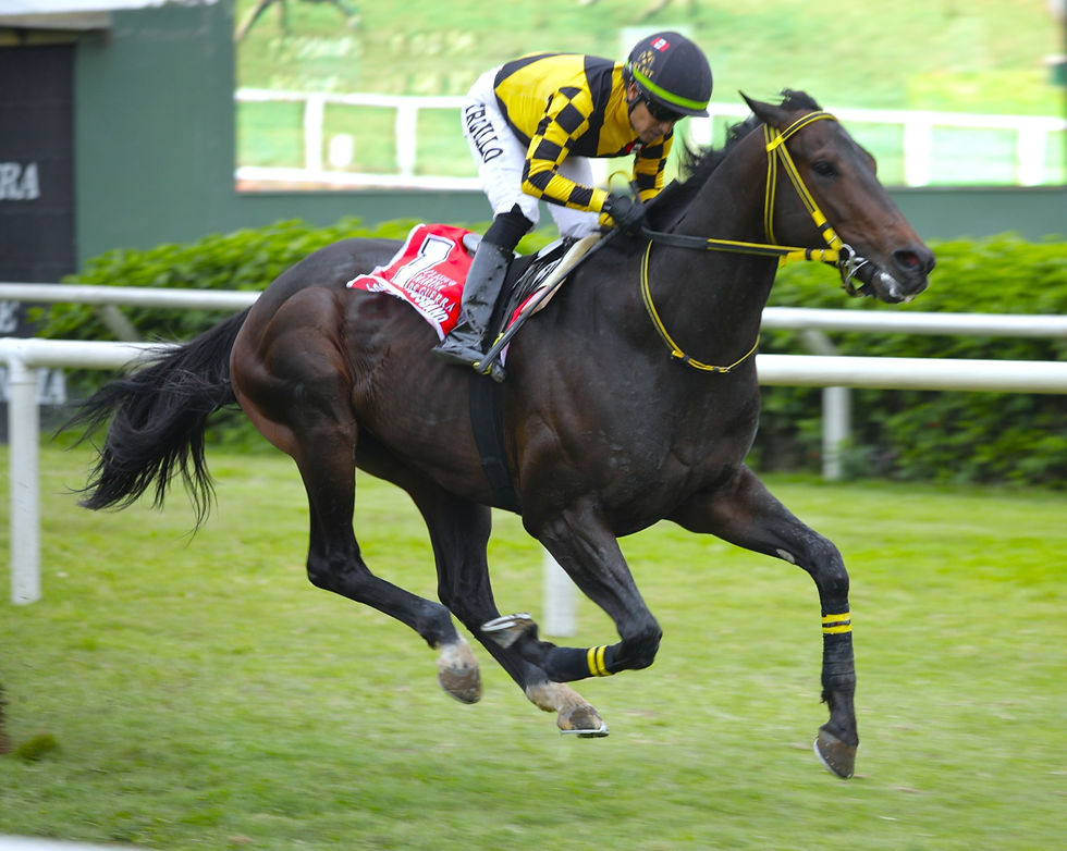 Puppi's Husband adds another stakes victory to Jet Set's banner campaign in Peru