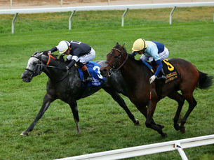 Time to Dazzle volvió a brillar en el Franklin Stakes y consiguió un doblete espectacular