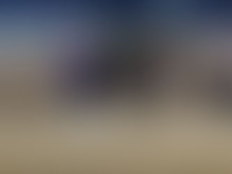 Gran debut de Legalaized en Meydan, como para soñar lejos...