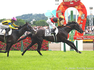 Croix du Nord respondió y se quedó con el Tokyo Yushun, el Derby japonés