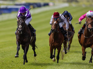 Un "error de sistema" dejó fuera de las 2000 Guineas a Albert Einstein y Gstaad