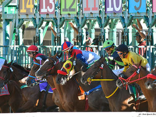 Obstacle lidera la lista de 11 anotados para el Ramírez, primer G1 de 2026 en Sudamérica