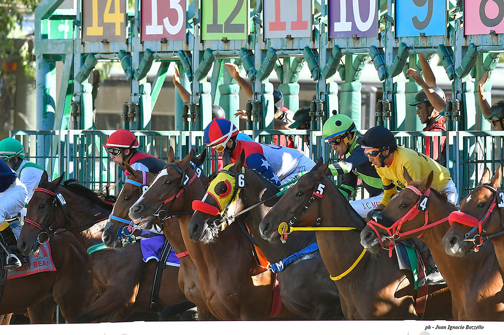 Obstacle lidera la lista de 11 anotados para el Ramírez, primer G1 de 2026 en Sudamérica