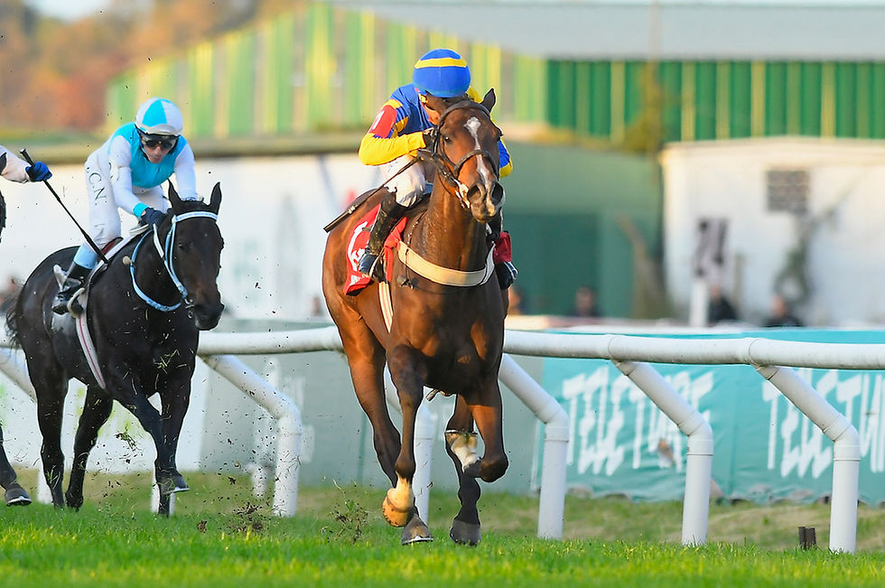 Indiana Candy sorprendió a todos y se llevó la Copa Diamante