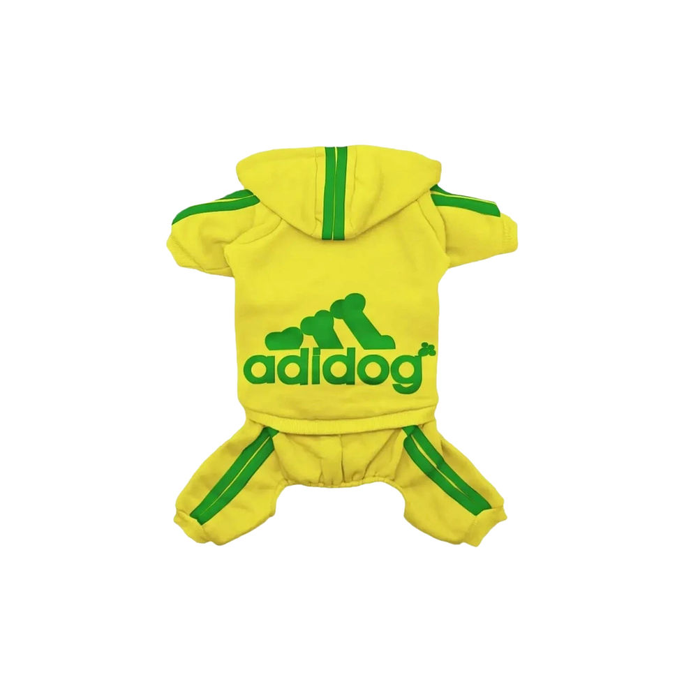 Front view of Adidog tracksuit featuring signature stripes and logo.
