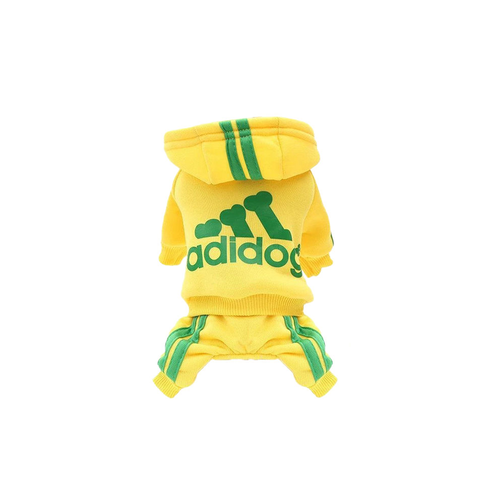 Front view of Yellow Adidog tracksuit